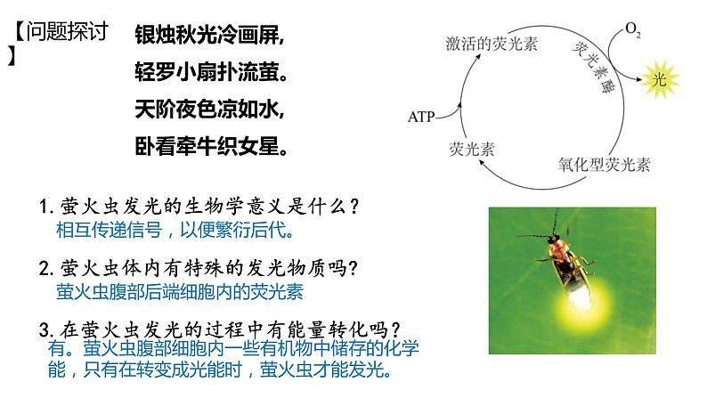 高中生物第一册 5 2细胞的能量货币——ATP 课件第2页