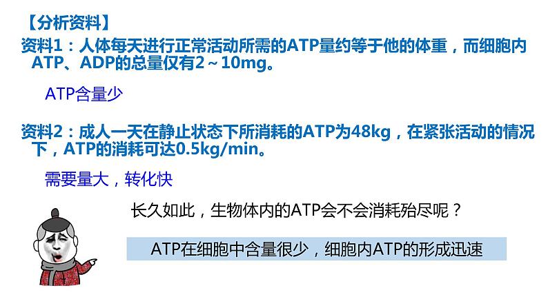 高中生物第一册 5 2细胞的能量货币——ATP 课件第6页