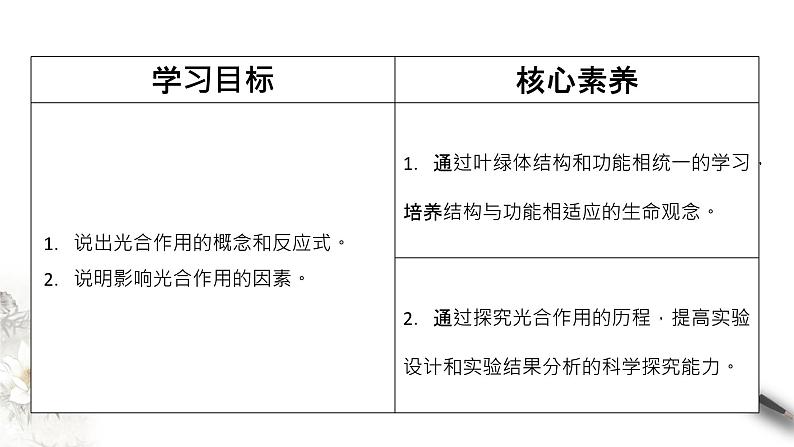 高中生物第一册 5 4 2 光合作用与能量转化 课件02