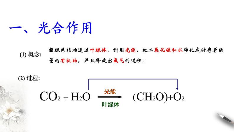 高中生物第一册 5 4 2 光合作用与能量转化 课件04