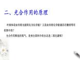 高中生物第一册 5 4 2 光合作用与能量转化 课件