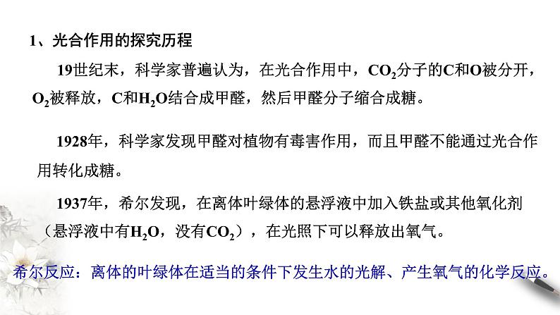 高中生物第一册 5 4 2 光合作用与能量转化 课件06