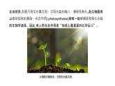 高中生物第一册 5 4光合作用与能量转化(1) 课件