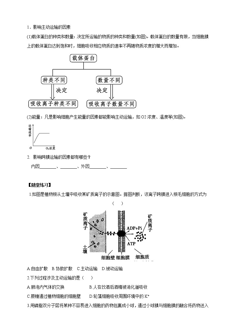 高中生物第一册 4 2主动运输与胞吞胞吐学案02
