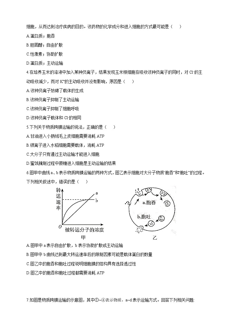 高中生物第一册 4 2主动运输与胞吞胞吐学案03