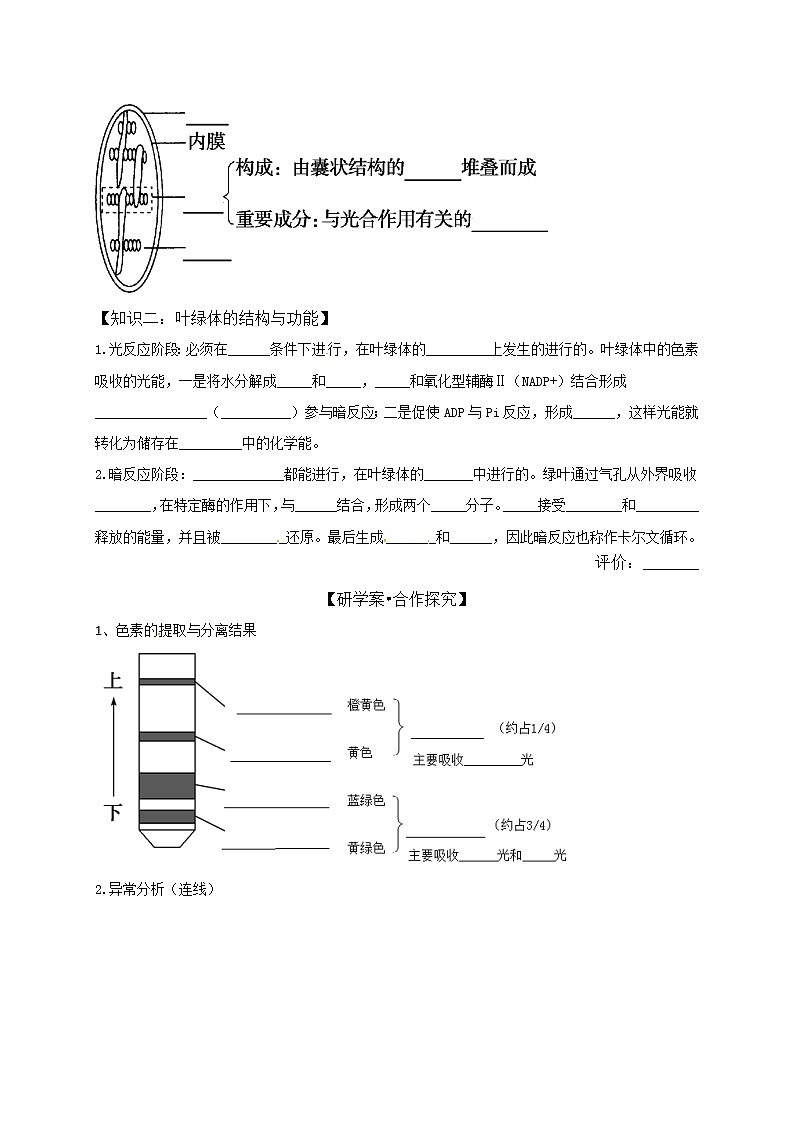 高中生物第一册 (学案)第五章第4节光合作用02