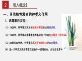 高中生物选择性必修一   5 2 其他植物激素（课件）上学期学同步精品课堂