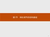 高中生物选择性必修一   第2章　第1节　神经调节的结构基础课件PPT