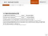 高中生物选择性必修一   第2章　第3节　神经冲动的产生和传导课件PPT