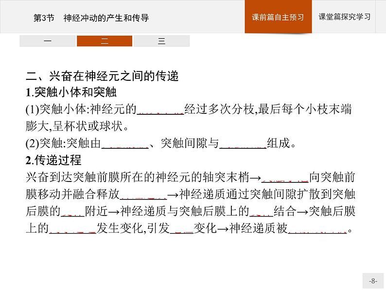 高中生物选择性必修一   第2章　第3节　神经冲动的产生和传导课件PPT第8页