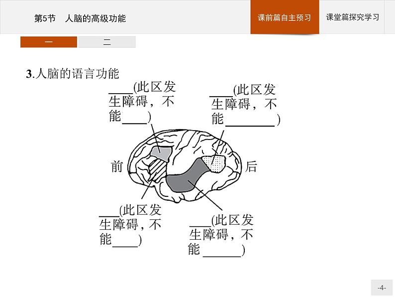 高中生物选择性必修一   第2章　第5节　人脑的高级功能课件PPT第4页