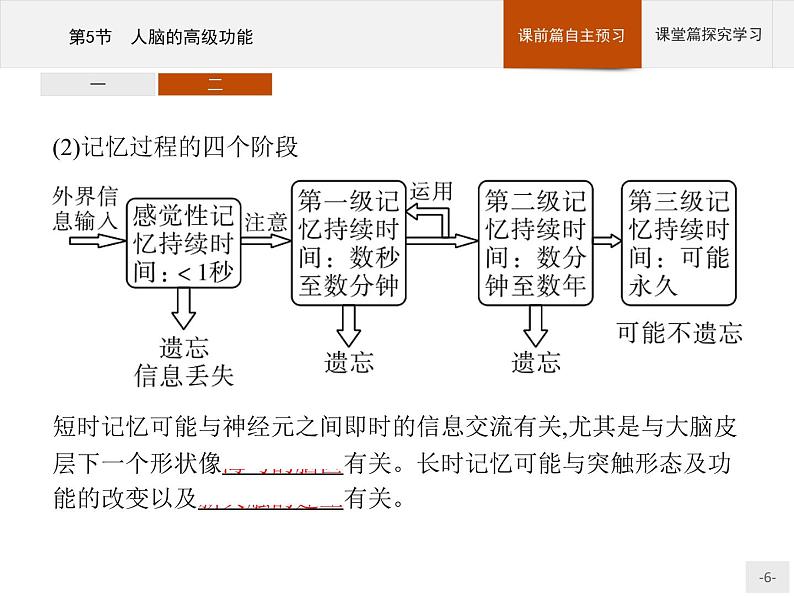 高中生物选择性必修一   第2章　第5节　人脑的高级功能课件PPT第6页
