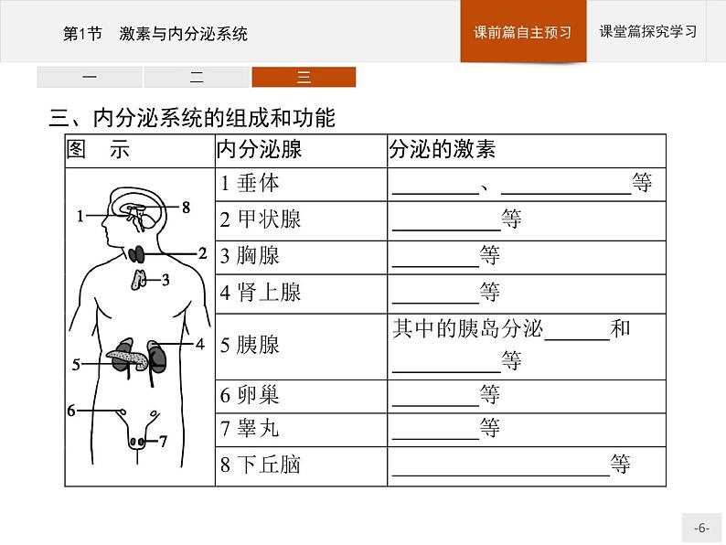 高中生物选择性必修一   第3章　第1节　激素与内分泌系统课件PPT06