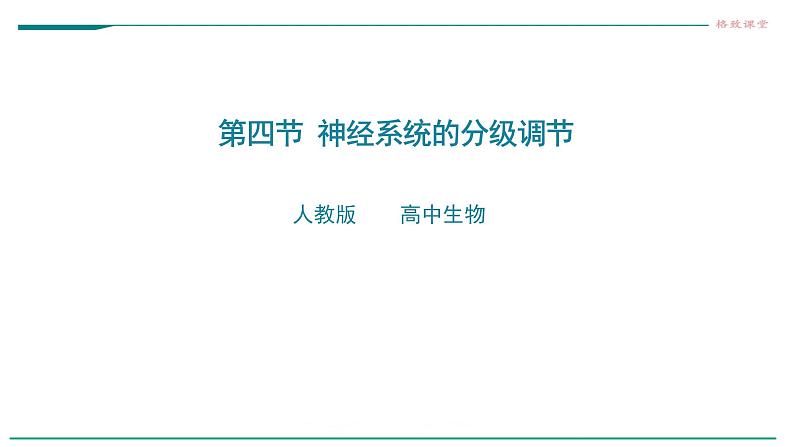 高中生物选择性必修一   第四节  神经系统的分级调节课件PPT第1页