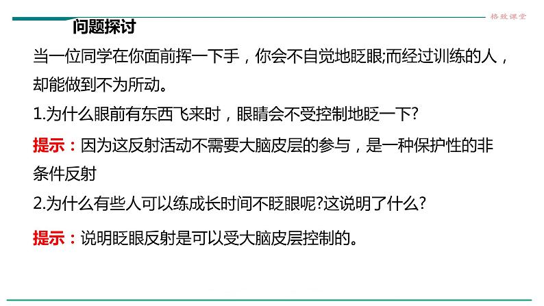 高中生物选择性必修一   第四节  神经系统的分级调节课件PPT第4页