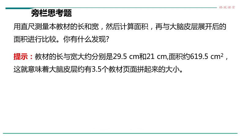 高中生物选择性必修一   第四节  神经系统的分级调节课件PPT第7页