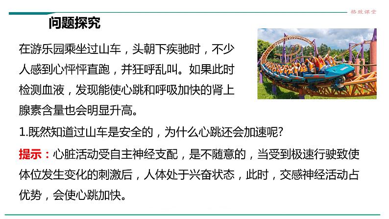 高中生物选择性必修一   第三节  体液调节与神经调节的关系课件PPT第3页