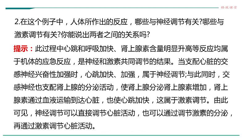 高中生物选择性必修一   第三节  体液调节与神经调节的关系课件PPT第4页