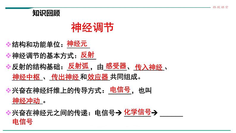 高中生物选择性必修一   第三节  体液调节与神经调节的关系课件PPT第7页