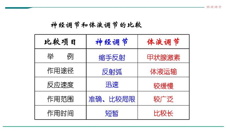 高中生物选择性必修一   第三节  体液调节与神经调节的关系课件PPT第8页