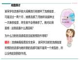 高中生物选择性必修一   第四节  免疫学的应用课件PPT