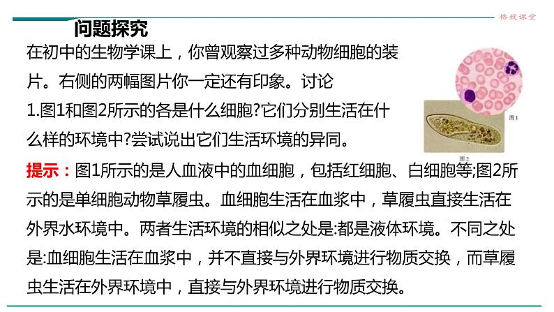 高中生物选择性必修一   第一节  细胞生活的环境课件PPT第5页