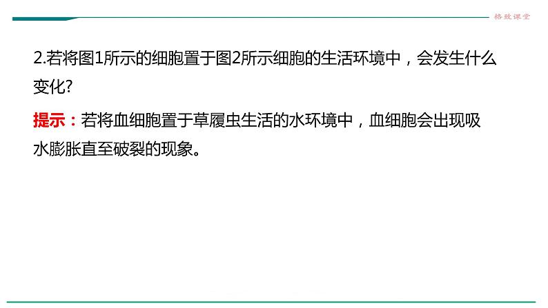 高中生物选择性必修一   第一节  细胞生活的环境课件PPT第6页