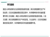 高中生物选择性必修一   第一节  激素与内分泌系统课件PPT