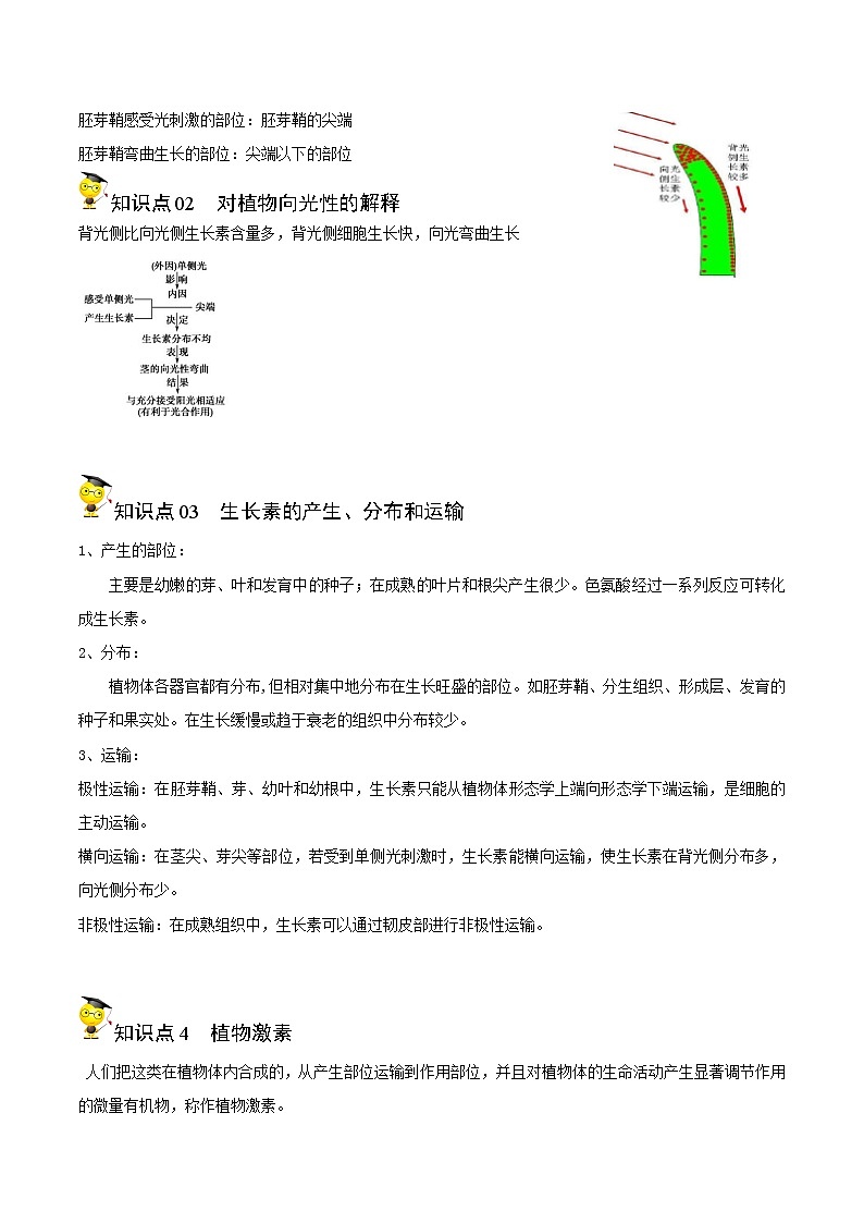 高中生物选择性必修一   5 1 植物生长素（第1课时）（含答案）(同步精品讲义02