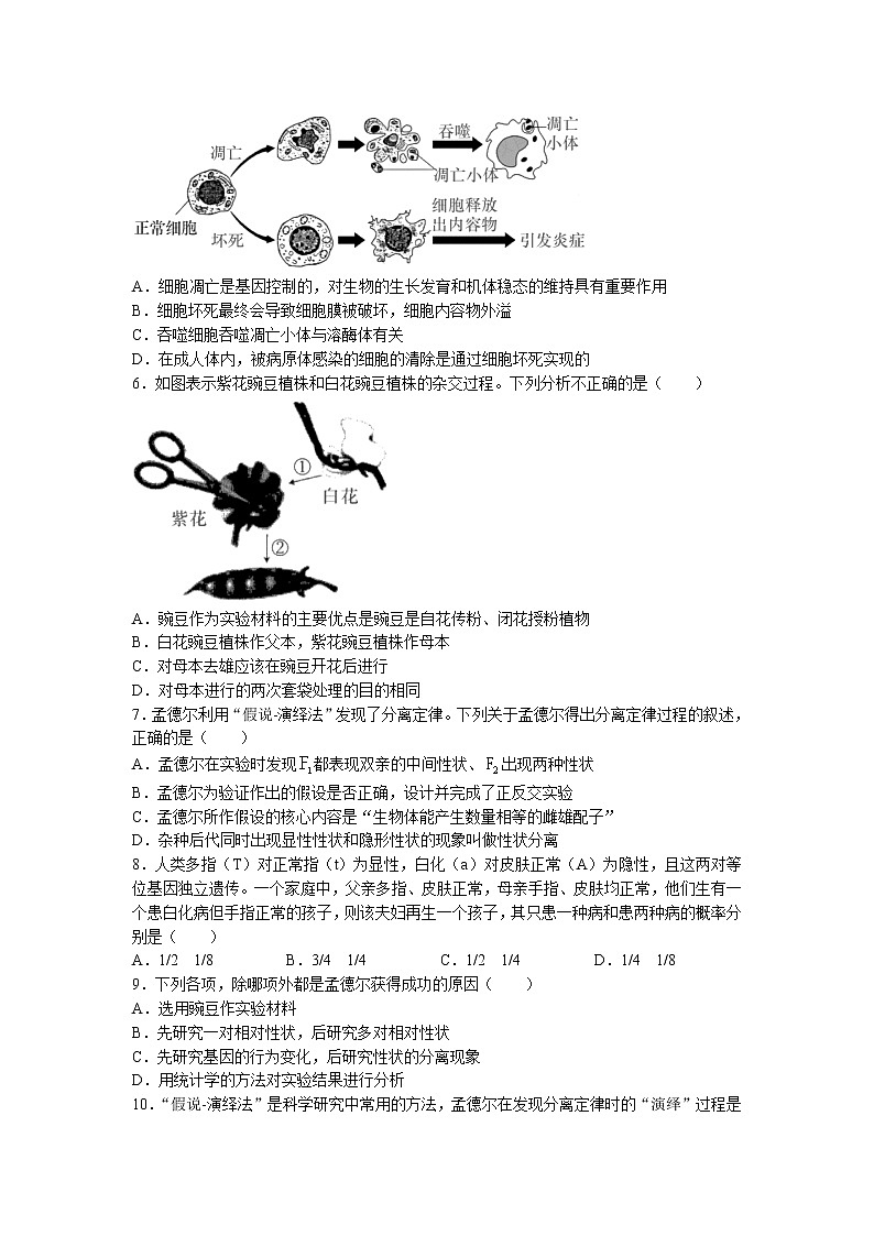 2023长沙长郡中学高一下学期第一次月考生物试卷含答案第2页