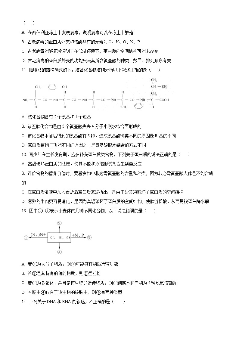 2023省哈尔滨高一上学期期末生物试题含答案02