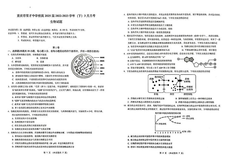 2023重庆市育才中学高一下学期3月月考生物试题扫描版无答案第1页