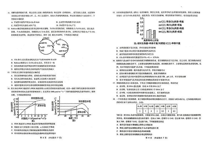 2023重庆市育才中学高一下学期3月月考生物试题扫描版无答案第2页