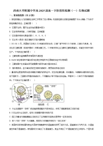 2023重庆市西南大学附中高一下学期第一次月考生物试题含答案