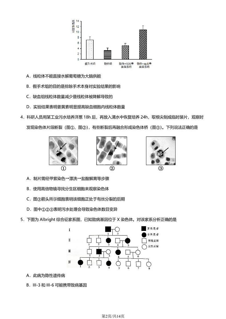2023年北京房山区高三一模生物试题及答案02