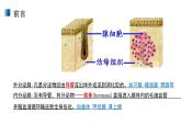 高中生物选择性必修一   3 1 激素与内分泌系统 课件练习题