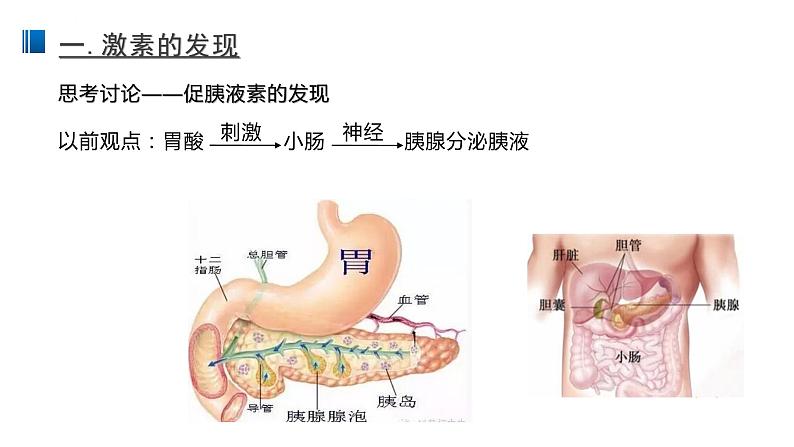 高中生物选择性必修一   3 1 激素与内分泌系统 课件练习题03