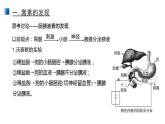 高中生物选择性必修一   3 1 激素与内分泌系统 课件练习题