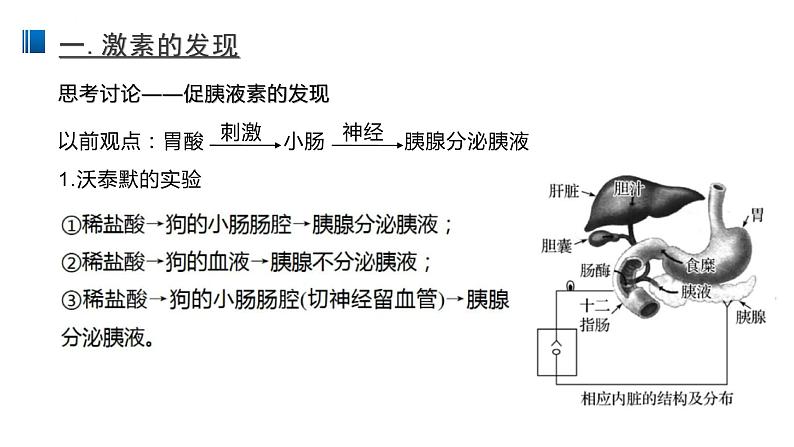 高中生物选择性必修一   3 1 激素与内分泌系统 课件练习题04