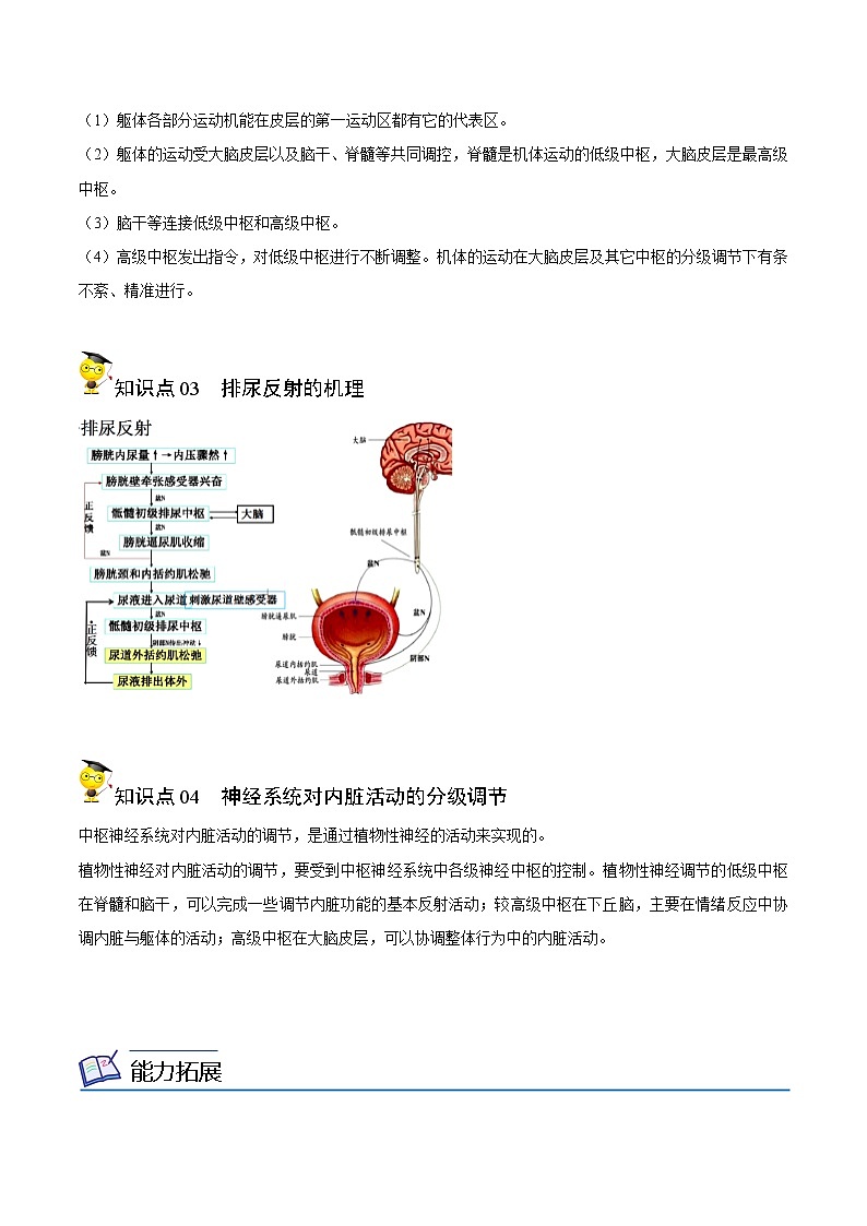高中生物选择性必修一   2 4 神经系统的分级调节（无答案）(同步精品讲义02