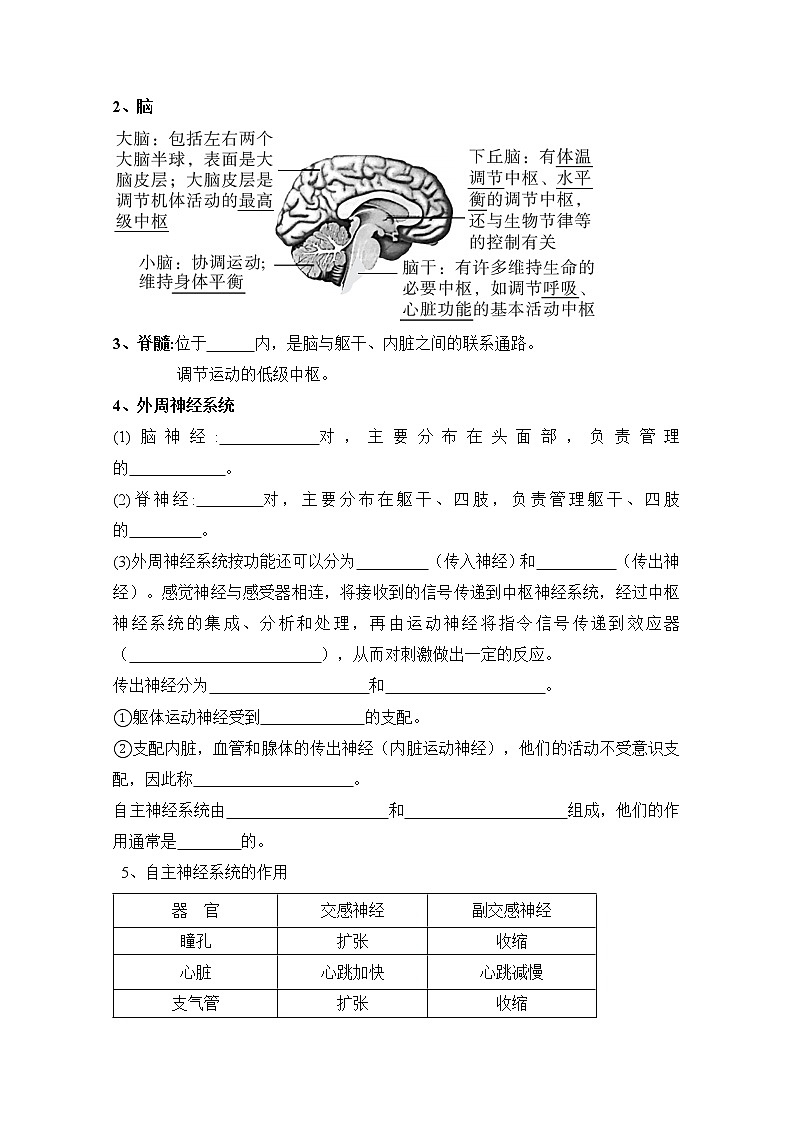 高中生物选择性必修一   2 1 神经调节的结构基础（导学案）生物学同步精品课堂02