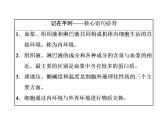 第1章  人体的内环境与稳态 第1节  细胞生活的环境课件PPT