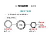 第1章  人体的内环境与稳态 第1节  细胞生活的环境课件PPT