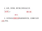 第1章  人体的内环境与稳态 第1节  细胞生活的环境课件PPT