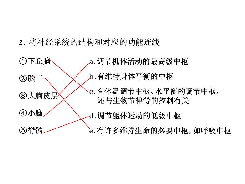 第2章  神经调节 第1节  神经调节的结构基础课件PPT07