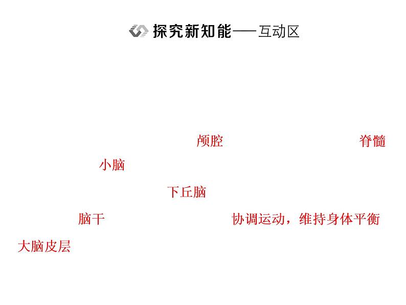 第2章  神经调节 第1节  神经调节的结构基础课件PPT08