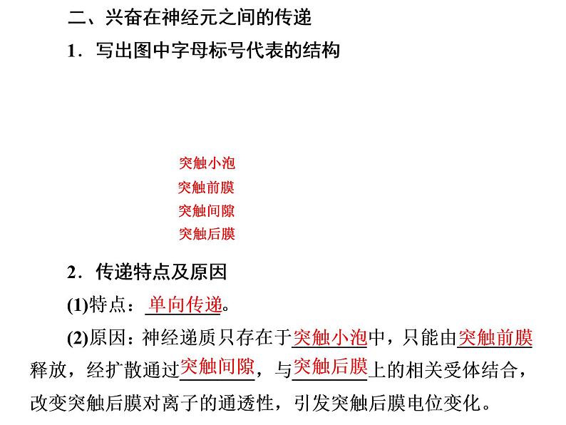 第2章  神经调节 第3节  神经冲动的产生和传导课件PPT03