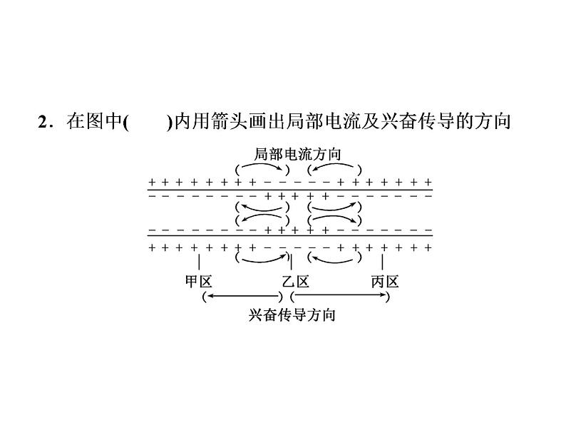 第2章  神经调节 第3节  神经冲动的产生和传导课件PPT06