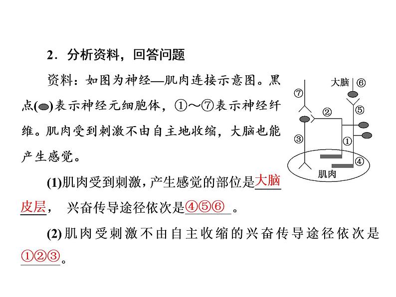 第2章  神经调节 第4节  神经系统的分级调节课件PPT07