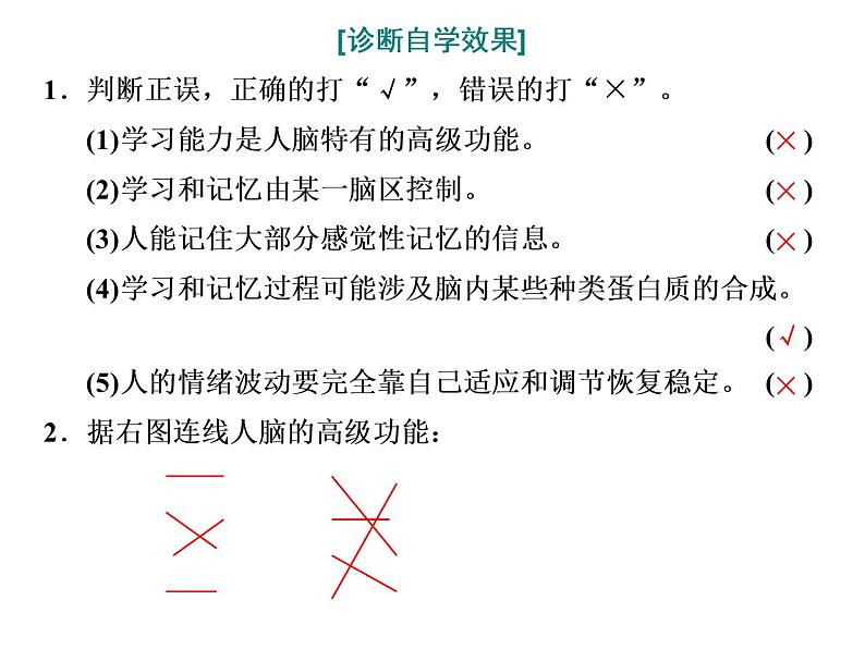 第2章  神经调节 第5节  人脑的高级功能课件PPT04